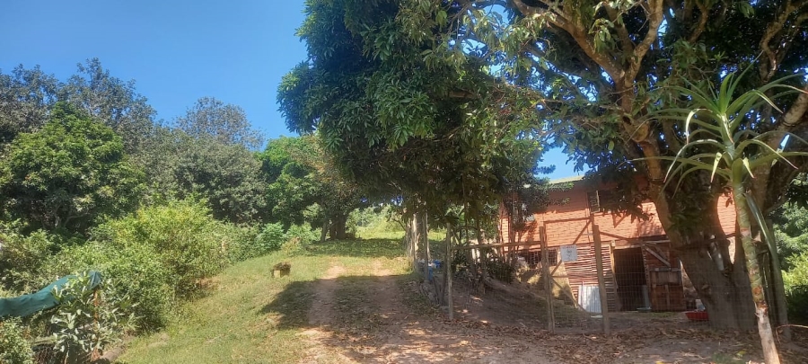 19 Bedroom Property for Sale in Escombe KwaZulu-Natal