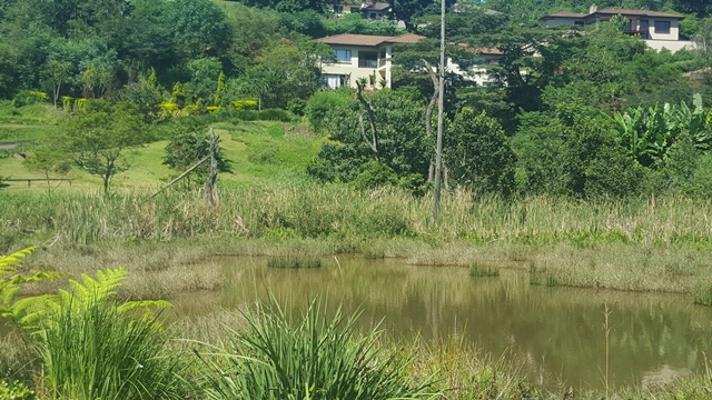 To Let 3 Bedroom Property for Rent in Forest Hills KwaZulu-Natal