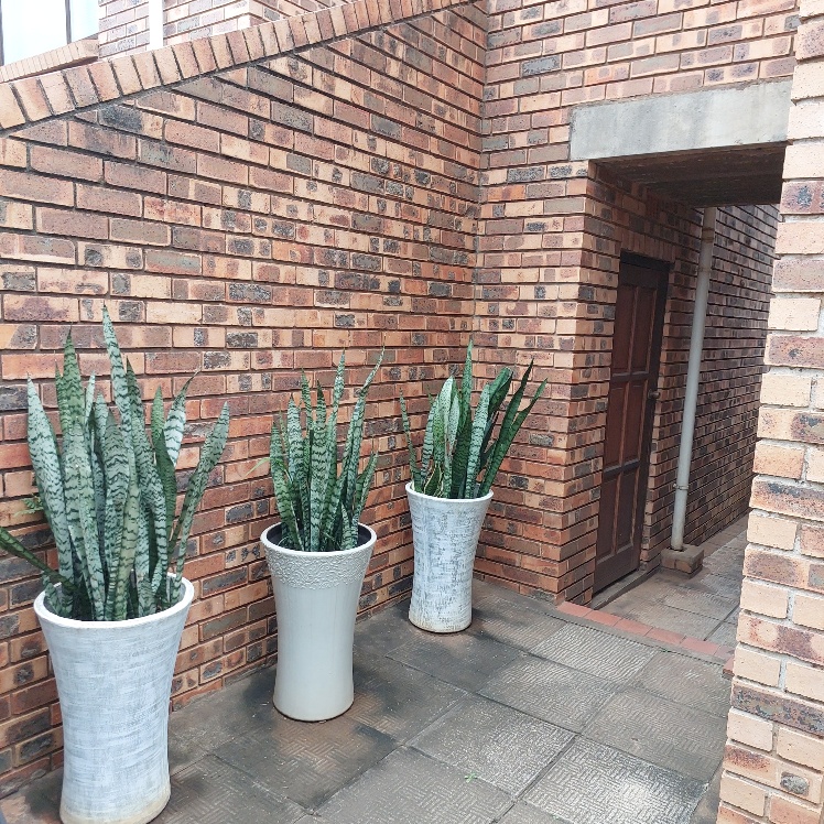 3 Bedroom Property for Sale in Fairview KwaZulu-Natal