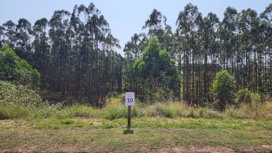 0 Bedroom Property for Sale in Elaleni Coastal Forest Estate KwaZulu-Natal