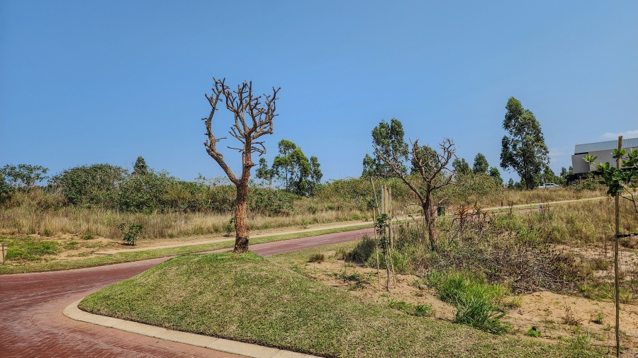 0 Bedroom Property for Sale in Elaleni Coastal Forest Estate KwaZulu-Natal