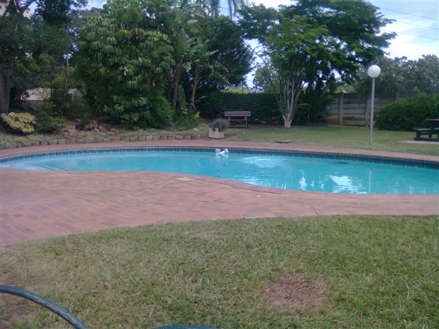 To Let 1 Bedroom Property for Rent in Scottsville KwaZulu-Natal