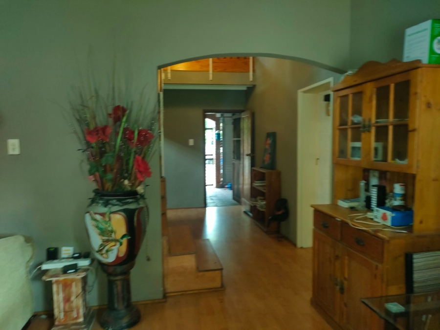 To Let 3 Bedroom Property for Rent in Arboretum KwaZulu-Natal