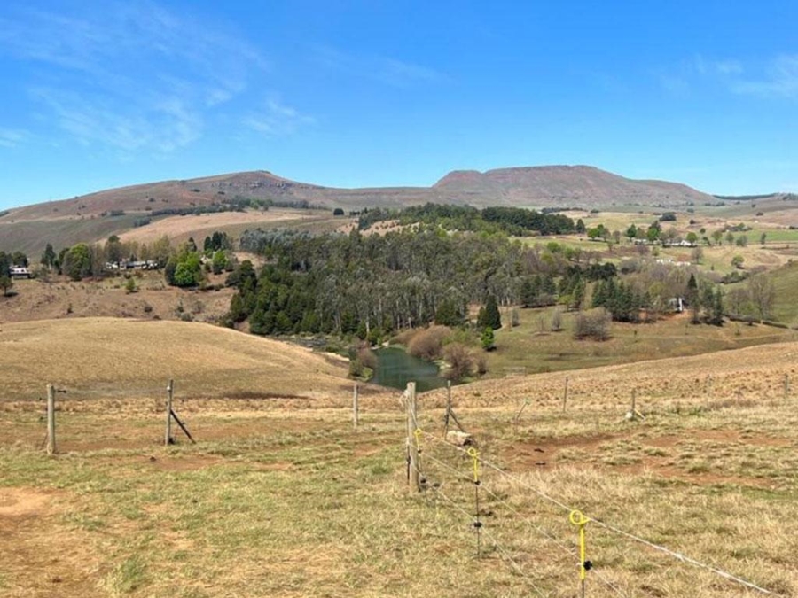 5 Bedroom Property for Sale in Underberg KwaZulu-Natal