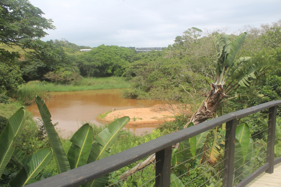 0 Bedroom Property for Sale in Elaleni Coastal Forest Estate KwaZulu-Natal