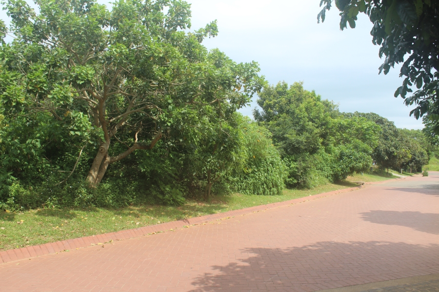 0 Bedroom Property for Sale in Elaleni Coastal Forest Estate KwaZulu-Natal