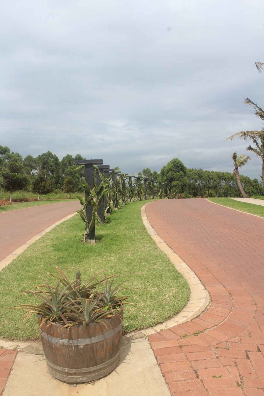 2 Bedroom Property for Sale in Elaleni Coastal Forest Estate KwaZulu-Natal