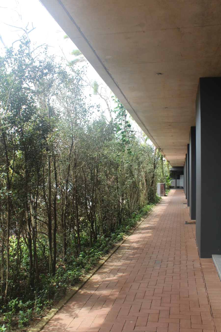 To Let commercial Property for Rent in Elaleni Coastal Forest Estate KwaZulu-Natal