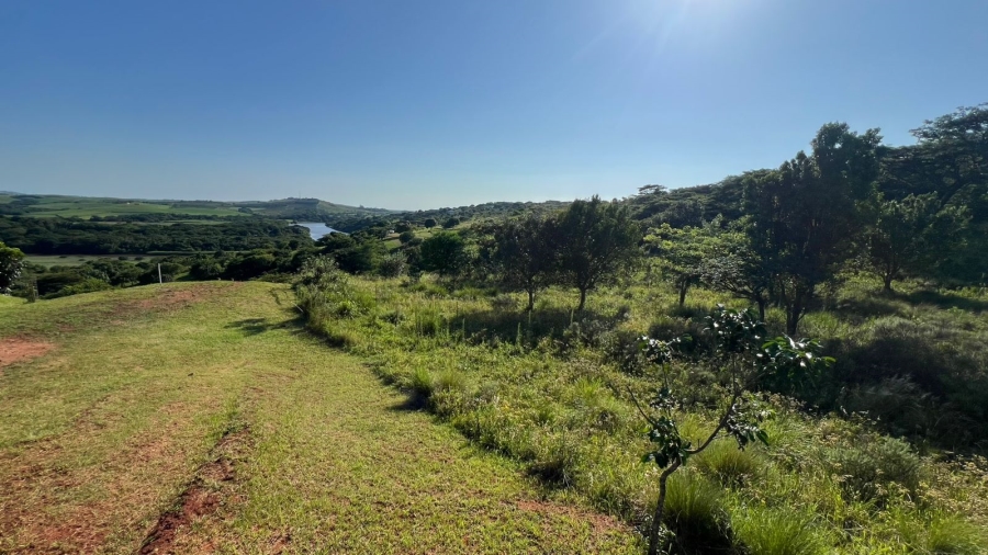 0 Bedroom Property for Sale in Zini River Estate KwaZulu-Natal