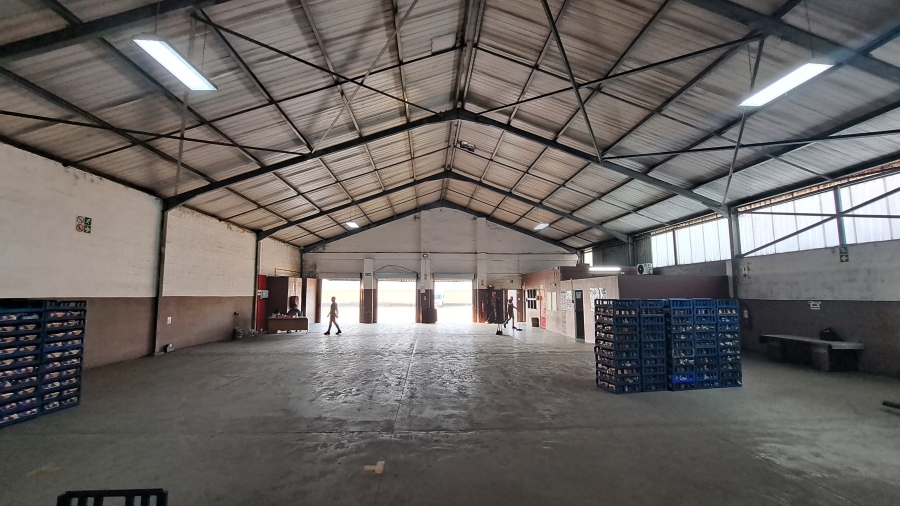 To Let commercial Property for Rent in Hillview KwaZulu-Natal