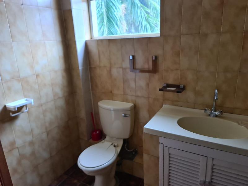 To Let 1 Bedroom Property for Rent in Arboretum KwaZulu-Natal