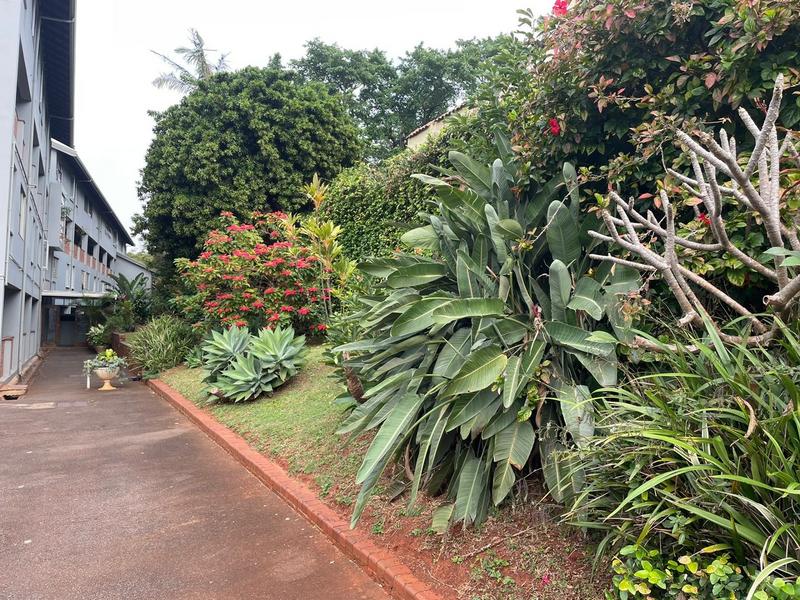 3 Bedroom Property for Sale in Bulwer KwaZulu-Natal