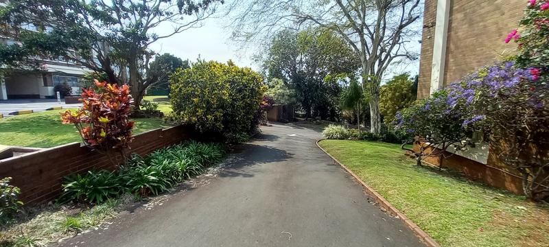 To Let 2 Bedroom Property for Rent in Musgrave KwaZulu-Natal