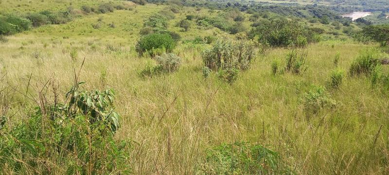 0 Bedroom Property for Sale in Umzinto Rural KwaZulu-Natal