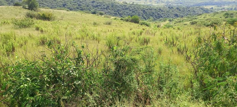 0 Bedroom Property for Sale in Umzinto Rural KwaZulu-Natal