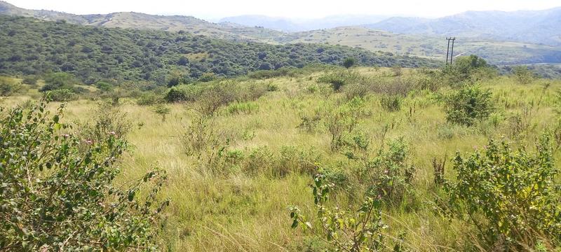 0 Bedroom Property for Sale in Umzinto Rural KwaZulu-Natal