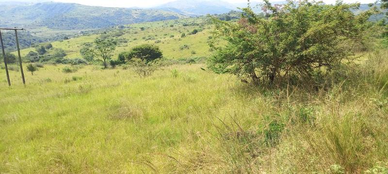 0 Bedroom Property for Sale in Umzinto Rural KwaZulu-Natal