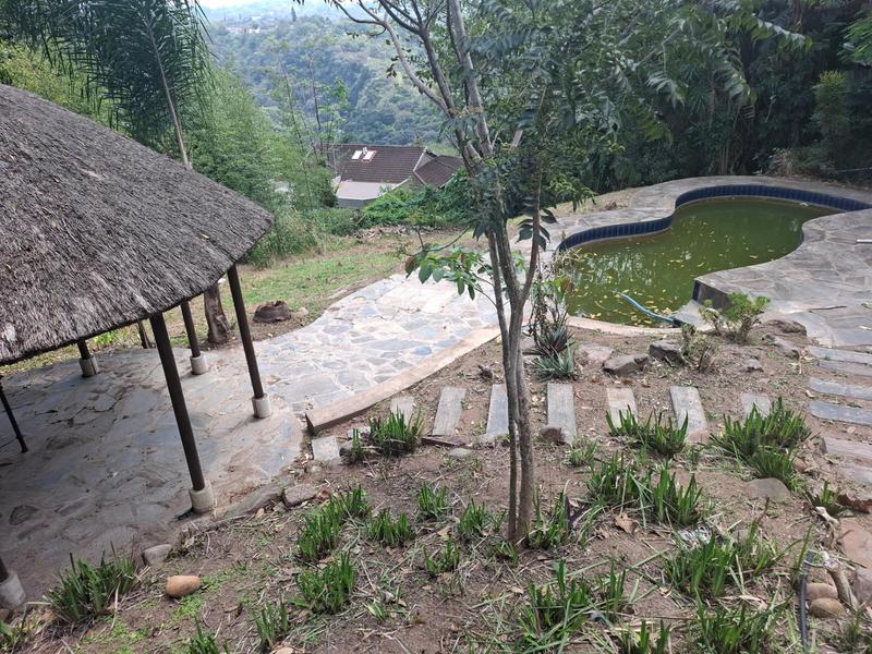 To Let 6 Bedroom Property for Rent in Westville KwaZulu-Natal