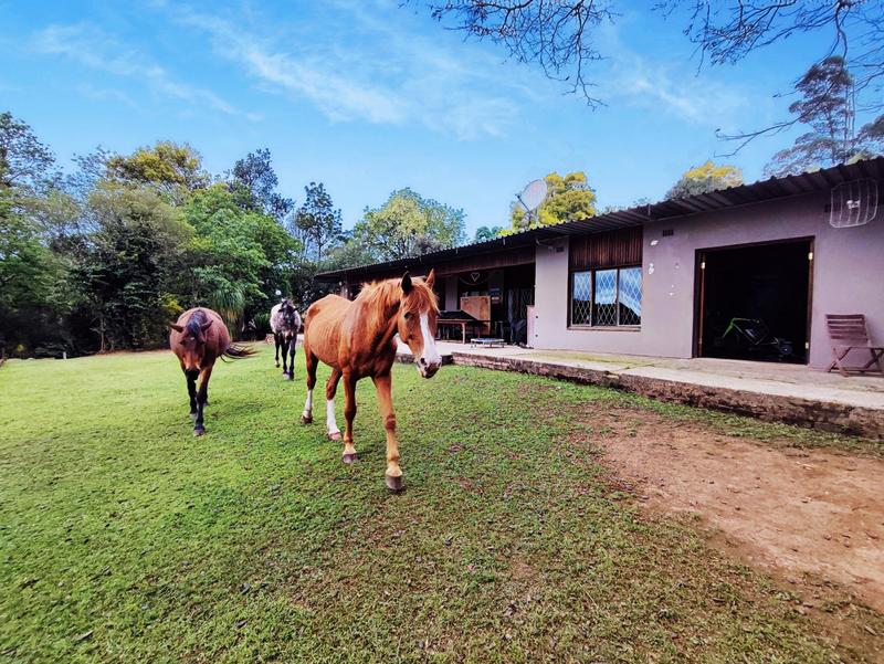 5 Bedroom Property for Sale in Pietermaritzburg Rural KwaZulu-Natal