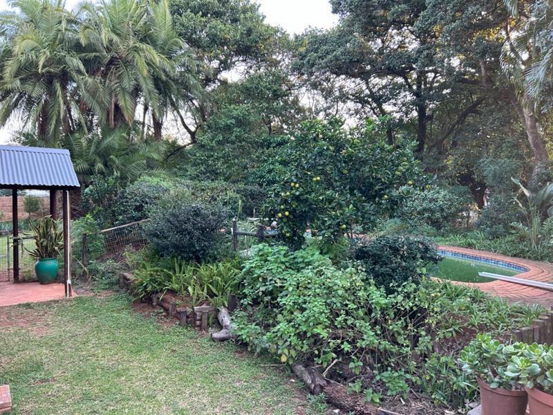 To Let 4 Bedroom Property for Rent in Mtunzini KwaZulu-Natal