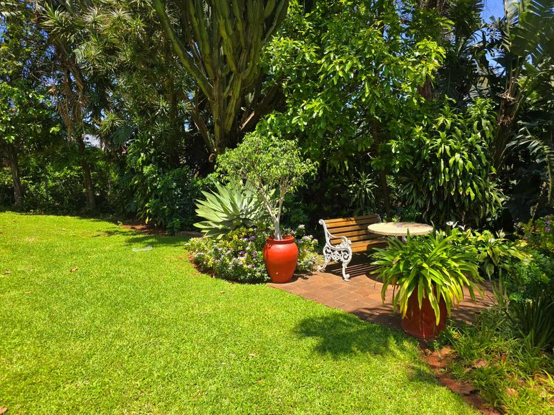 To Let 3 Bedroom Property for Rent in Musgrave KwaZulu-Natal