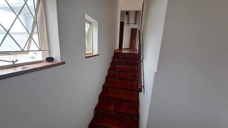 To Let 4 Bedroom Property for Rent in Westville KwaZulu-Natal