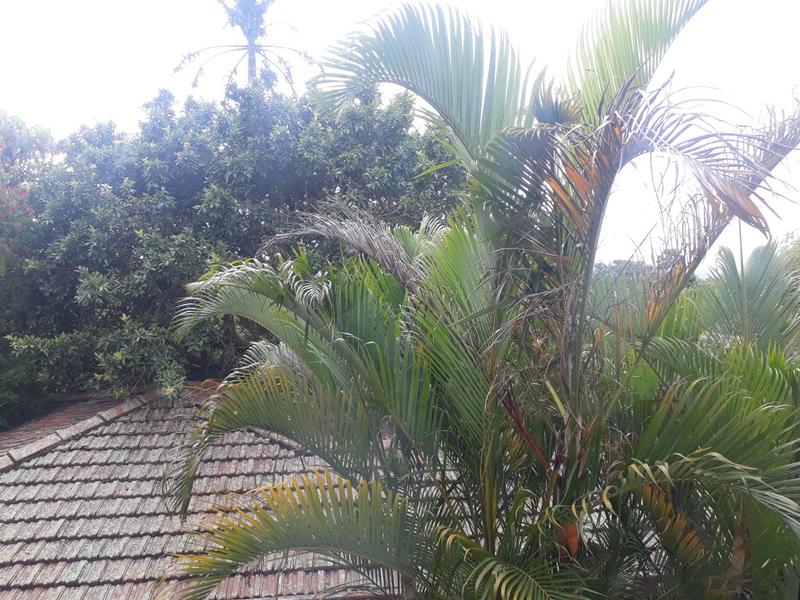 To Let 2 Bedroom Property for Rent in Westville KwaZulu-Natal