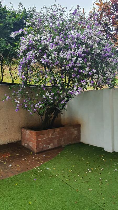 To Let 3 Bedroom Property for Rent in Umgeni Park KwaZulu-Natal