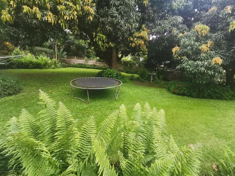 To Let 1 Bedroom Property for Rent in Westville KwaZulu-Natal