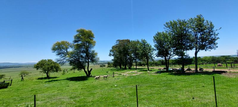 4 Bedroom Property for Sale in Dundee Rural KwaZulu-Natal