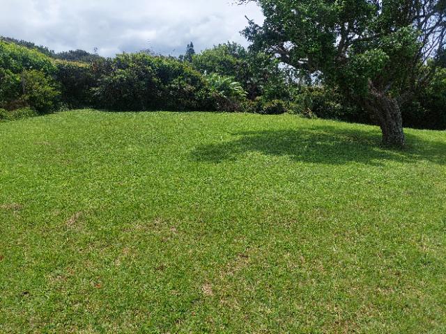 4 Bedroom Property for Sale in Mtwalume KwaZulu-Natal