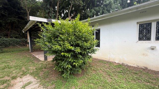 To Let 2 Bedroom Property for Rent in Hatton Estate KwaZulu-Natal