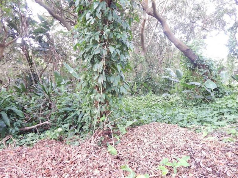 0 Bedroom Property for Sale in Glenmore KwaZulu-Natal