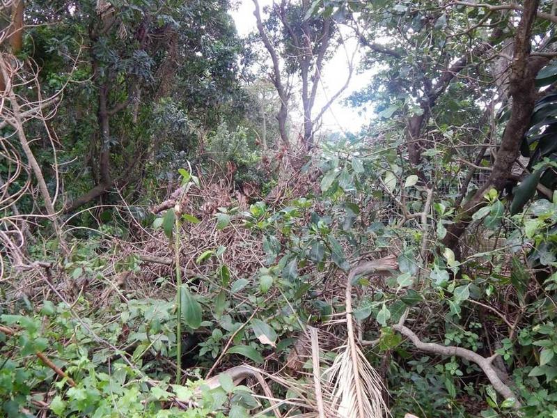 0 Bedroom Property for Sale in Glenmore KwaZulu-Natal