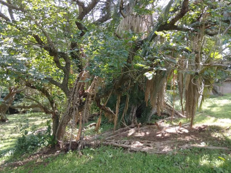 0 Bedroom Property for Sale in Hibberdene KwaZulu-Natal