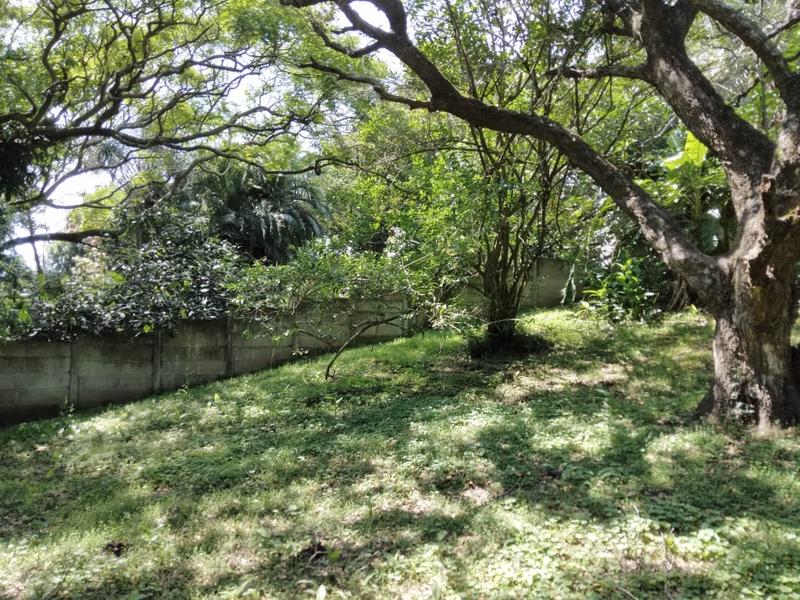 0 Bedroom Property for Sale in Hibberdene KwaZulu-Natal