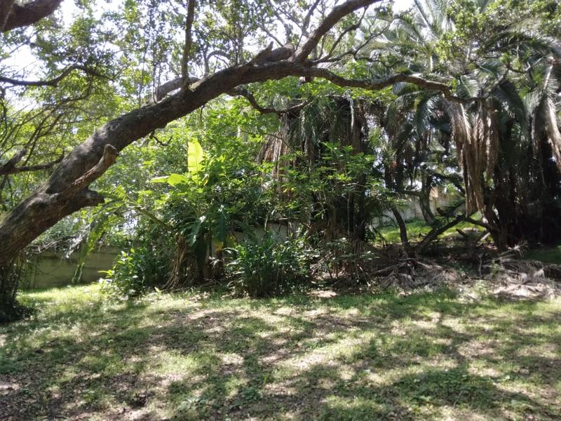 0 Bedroom Property for Sale in Hibberdene KwaZulu-Natal
