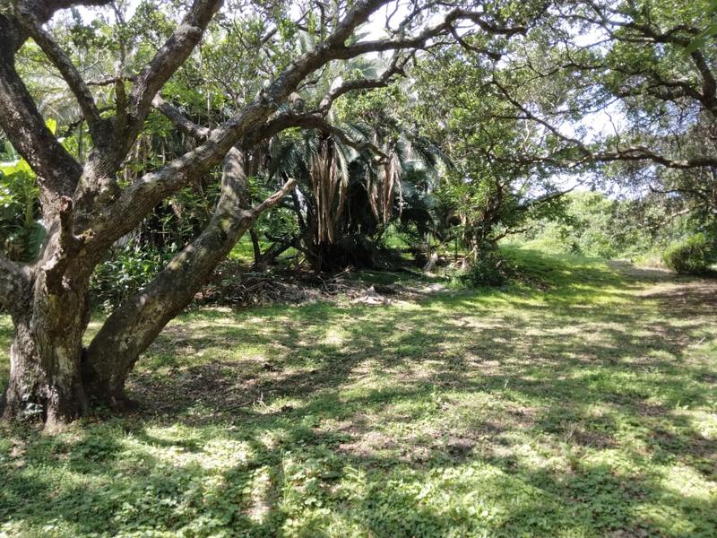 0 Bedroom Property for Sale in Hibberdene KwaZulu-Natal