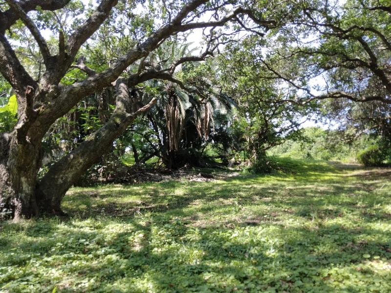 0 Bedroom Property for Sale in Hibberdene KwaZulu-Natal