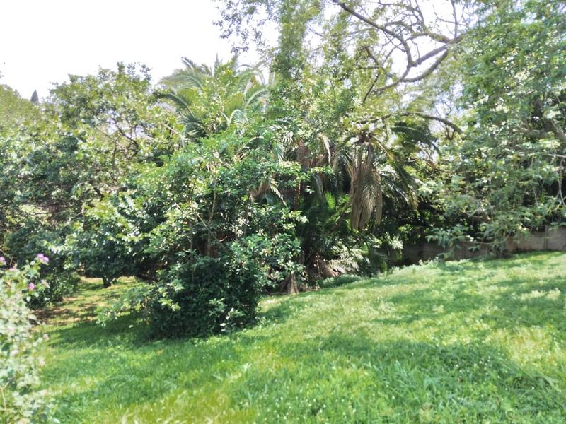 0 Bedroom Property for Sale in Hibberdene KwaZulu-Natal