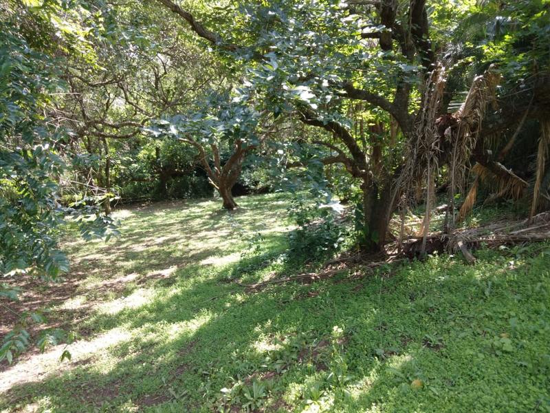 0 Bedroom Property for Sale in Hibberdene KwaZulu-Natal