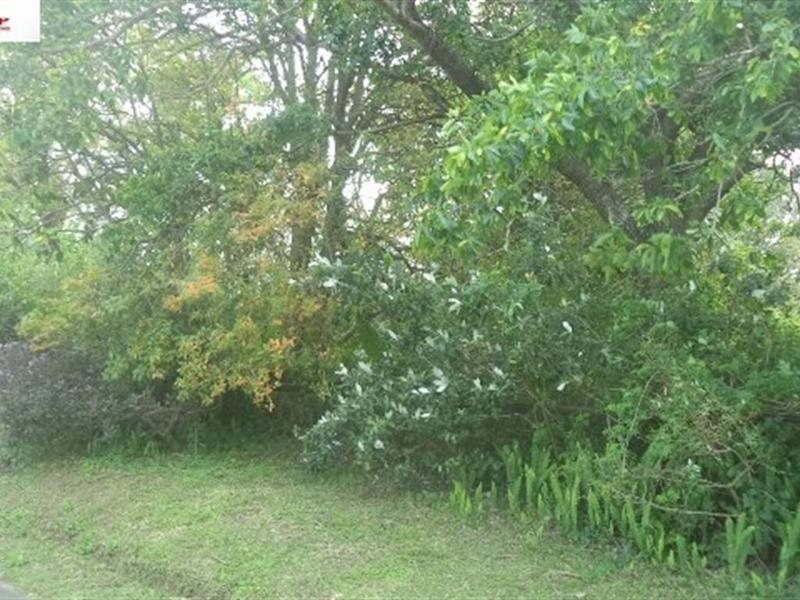 0 Bedroom Property for Sale in Leisure Bay KwaZulu-Natal