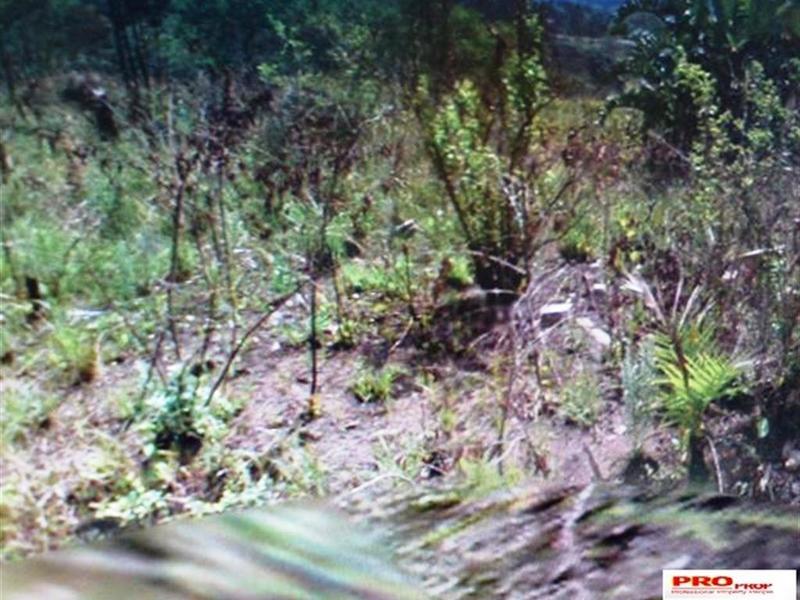 0 Bedroom Property for Sale in Leisure Bay KwaZulu-Natal