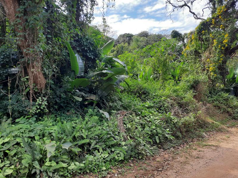 0 Bedroom Property for Sale in Leisure Bay KwaZulu-Natal