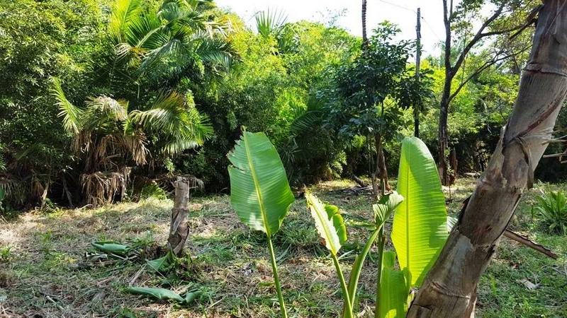 0 Bedroom Property for Sale in Palm Beach KwaZulu-Natal