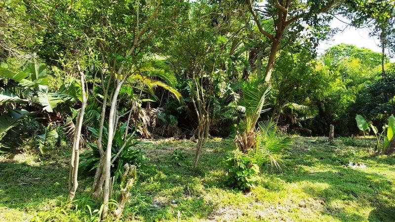 0 Bedroom Property for Sale in Palm Beach KwaZulu-Natal