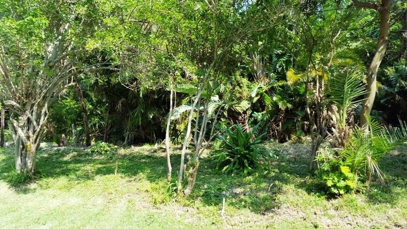 0 Bedroom Property for Sale in Palm Beach KwaZulu-Natal