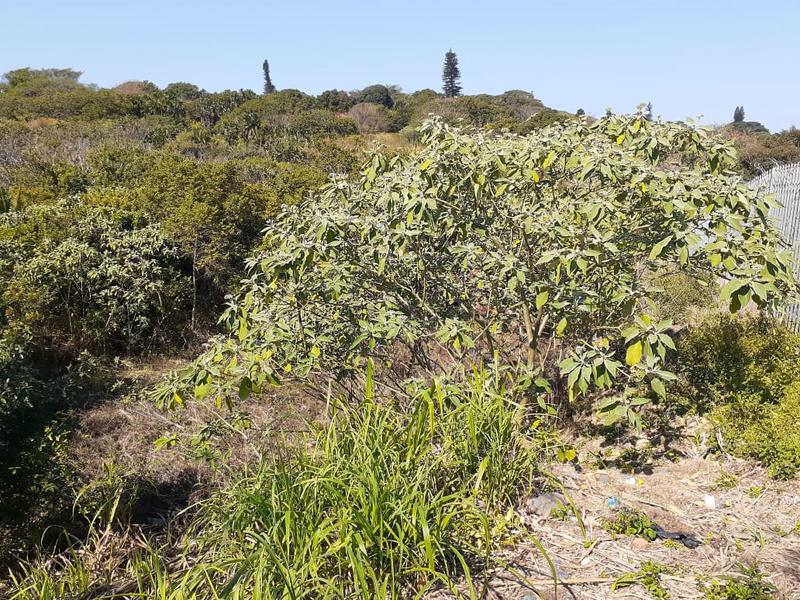 0 Bedroom Property for Sale in Port Shepstone KwaZulu-Natal