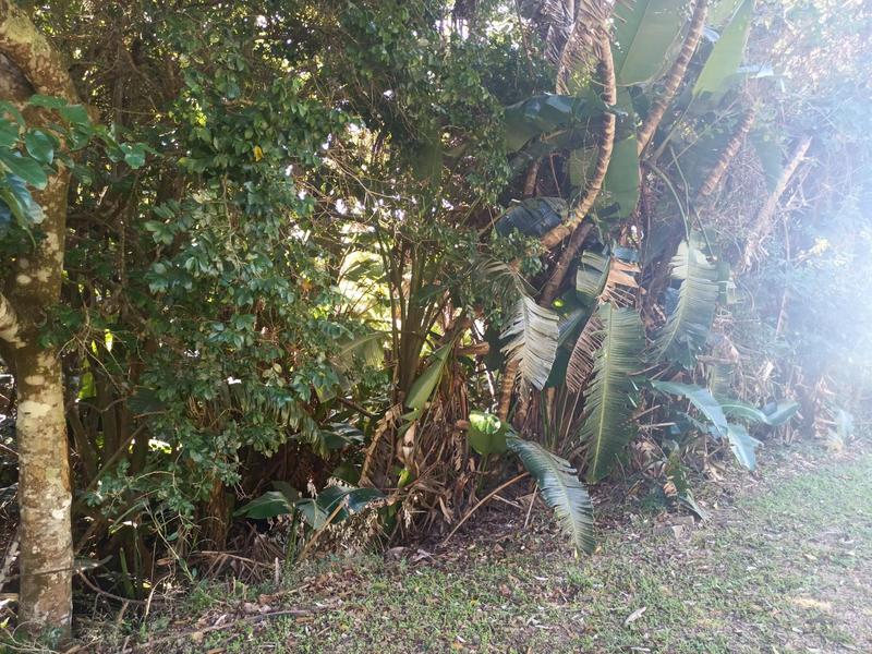 0 Bedroom Property for Sale in Trafalgar KwaZulu-Natal