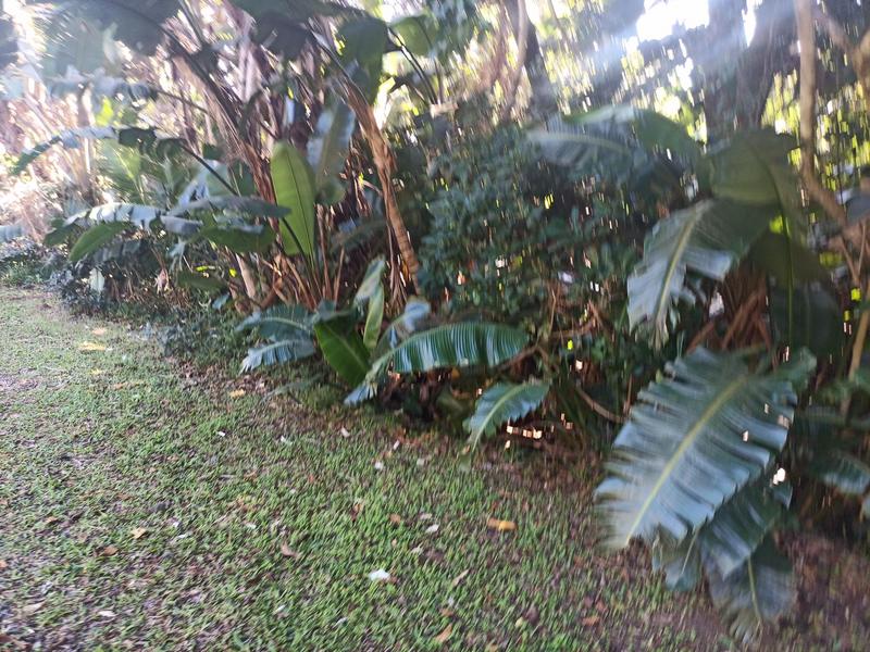 0 Bedroom Property for Sale in Trafalgar KwaZulu-Natal